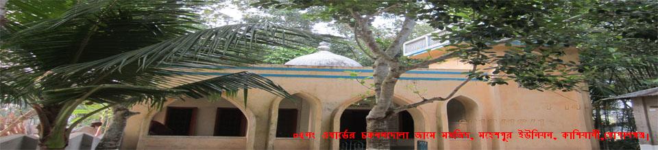 চকবনদোলা জামে মসজিদ ০৫নং ওয়ার্ড মহেশপুর ইউনিয়ন, কাশিয়ানী, গোপালগঞ্জ।