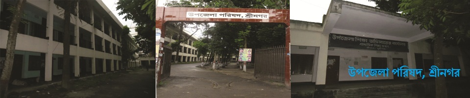 উপজেলা পরিষদ, শ্রীনগর