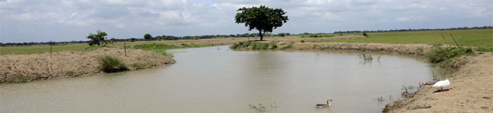 খাল