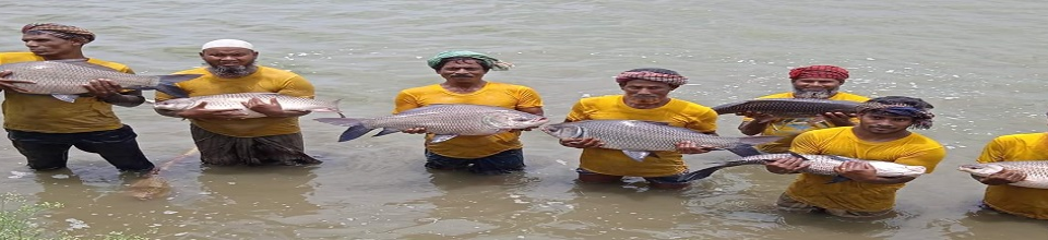 কার্প ফ্যাটেনিং